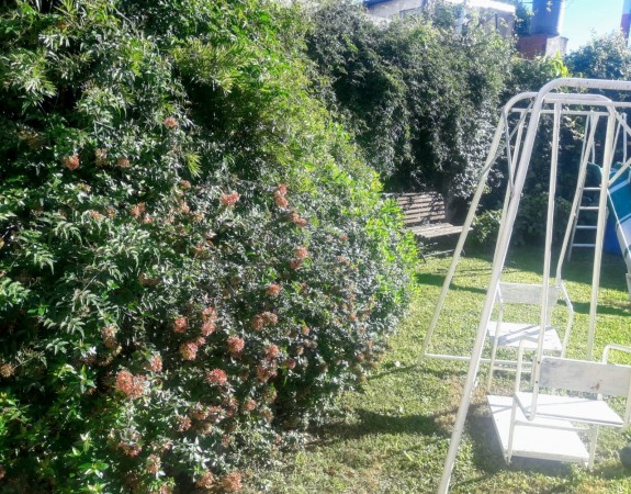 Venta casa interna única, Virasoro N° 200, impecable, amplio jardín, dos patios, 2 dormitorios, parrillero.