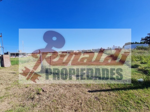 Terreno Coronel Bogado 13,75x50m2